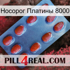 Носорог Платины 8000 06